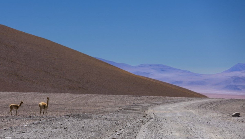 An der chilenisch-argentinische Grenze, BO
